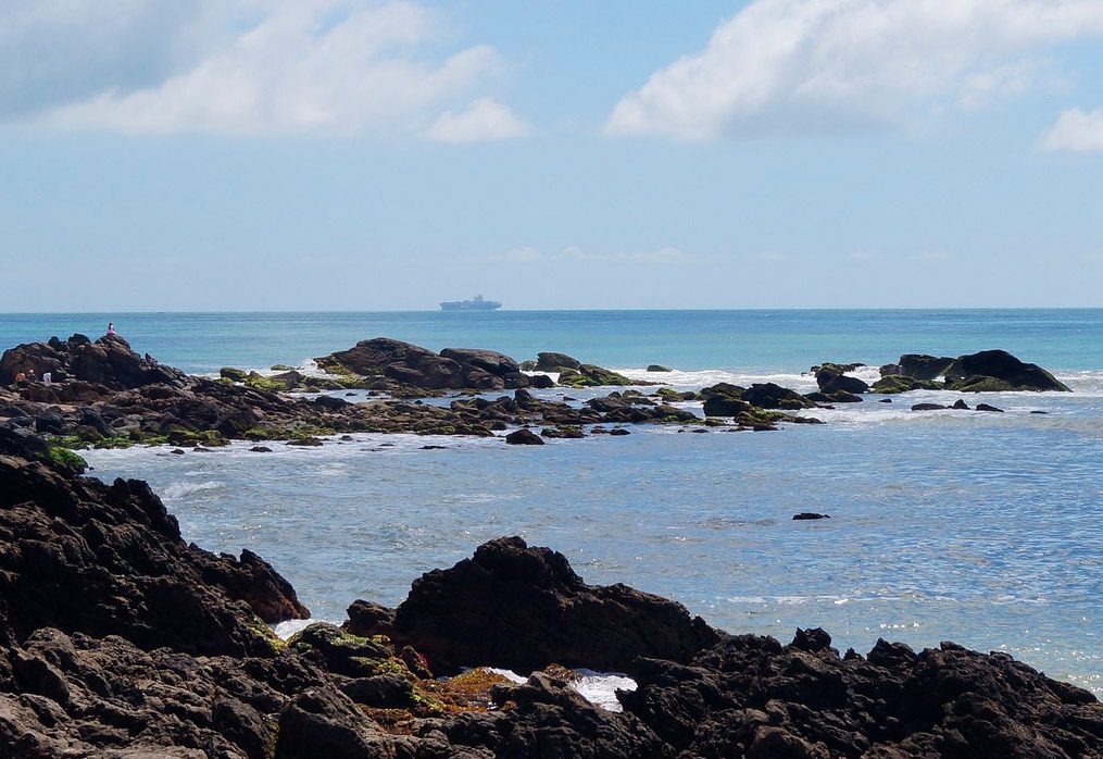 Entre o Mar e a Vida Urbana: Descubra o Charme Contagiante de Balneário Camboriú